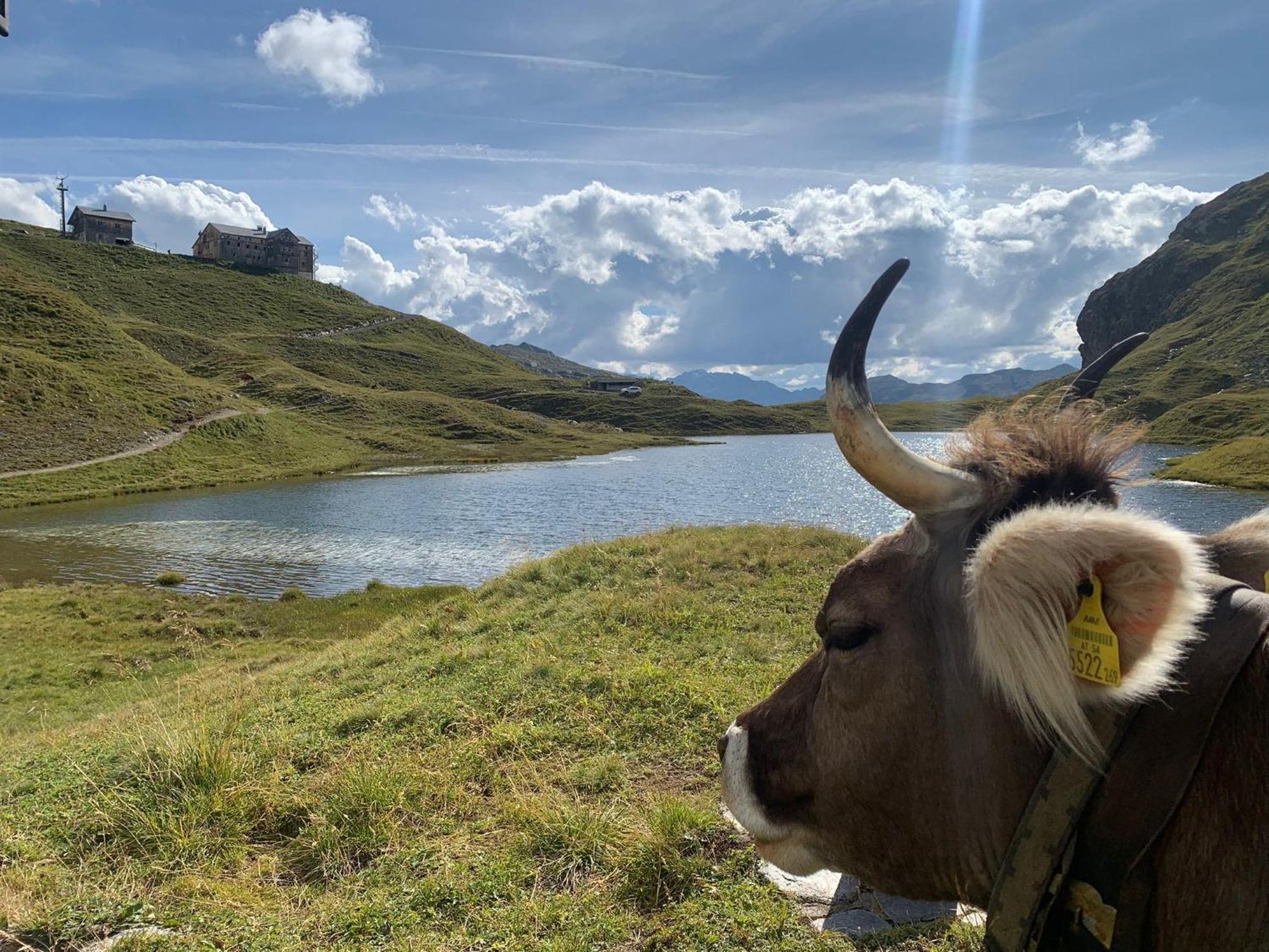 Haus Richard Falch - Inklusive Kostenloser Premium-Sommerkarte Sankt Anton am Arlberg Bagian luar foto